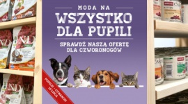 Sklep „Pupilsi – Świat Kota i Psa” dołącza do najemców CH Osowa BIZNES, Handel - Już wkrótce CH Osowa powiększy się o kolejnego najemcę – sklep z akcesoriami dla zwierzaków Pupilsi. Sklep zajmie powierzchnię niemal 80 metrów kwadratowych i w swojej ofercie skupi się przede wszystkim na psach i kotach.