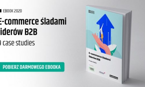 E-book “E-commerce śladami liderów B2B – case studies najlepszych wdrożeń w bran